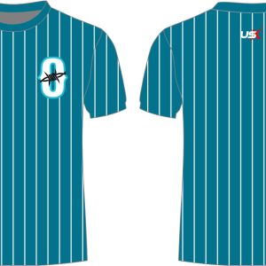 Dri Fit Stripe Shirt Stripe