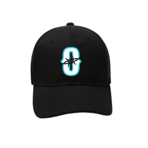 Snapback Hat Black