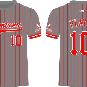 Bombers Dri Fit Shirt Grey