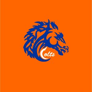 Colts Blanket 50X60 Orange