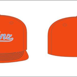 Phinz Flexfit Hat Orange