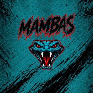 Mambas Blanket Teal Black