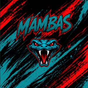 Mambas Blanket Red Teal Black